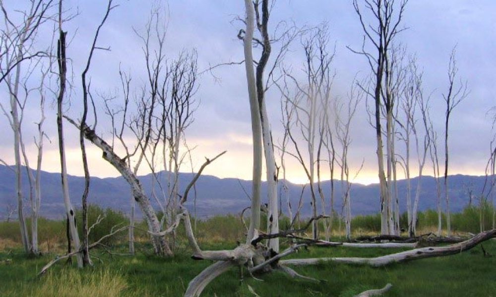 Releasing-the-Past-in-the-Death-Lodge-Resources-web