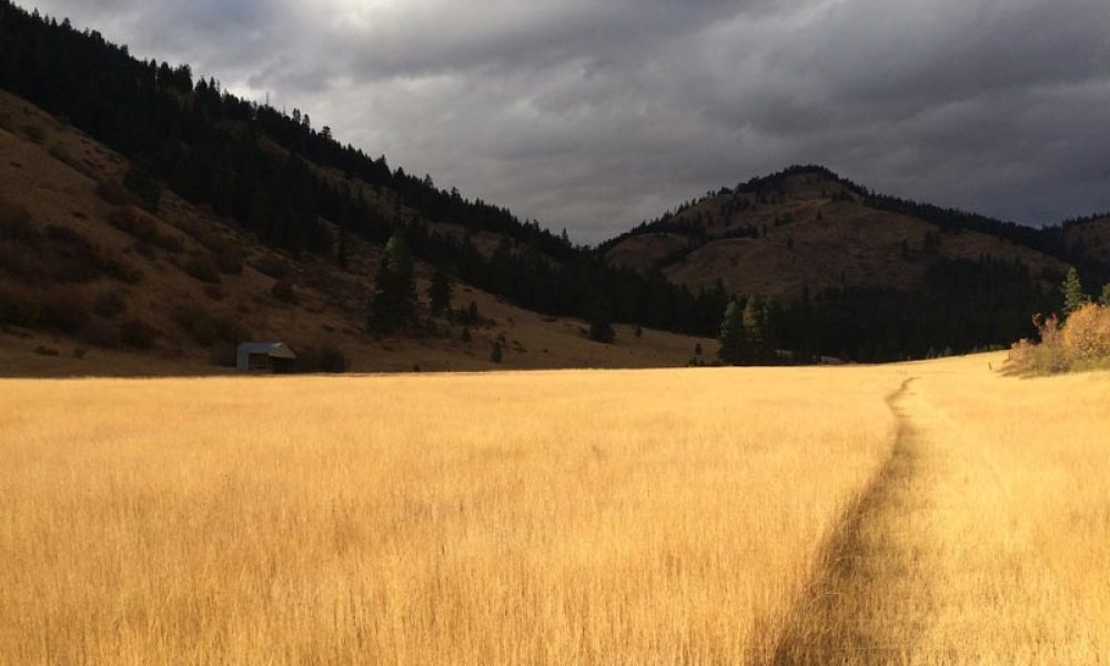 The-Medicine-Walk-Resources