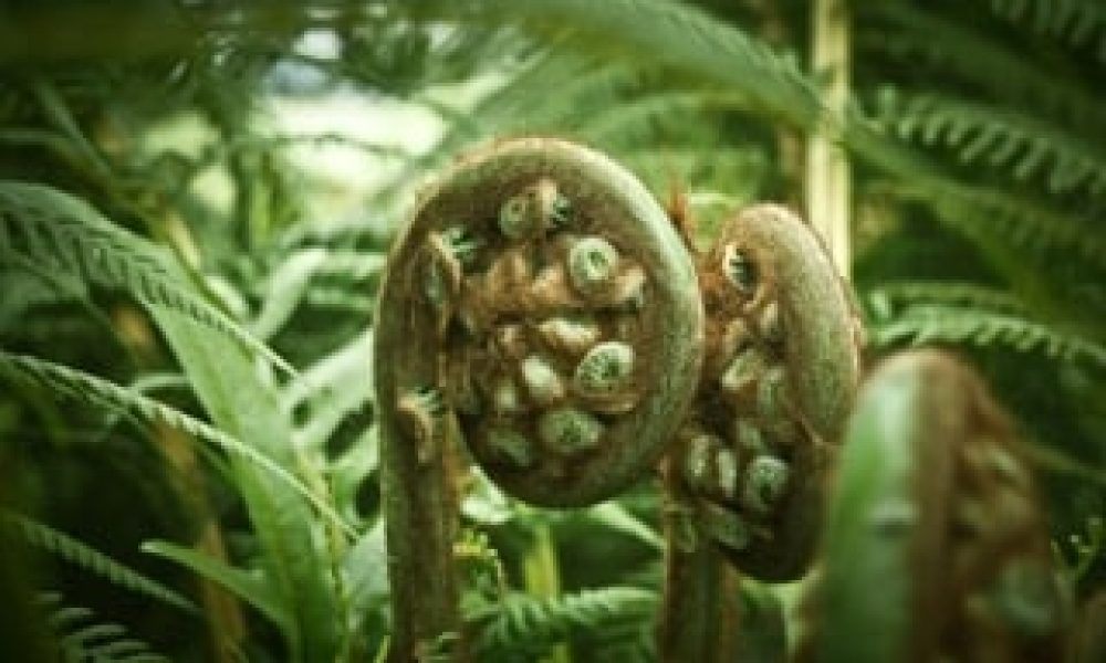 too-small-Psycho Benefits-Resources